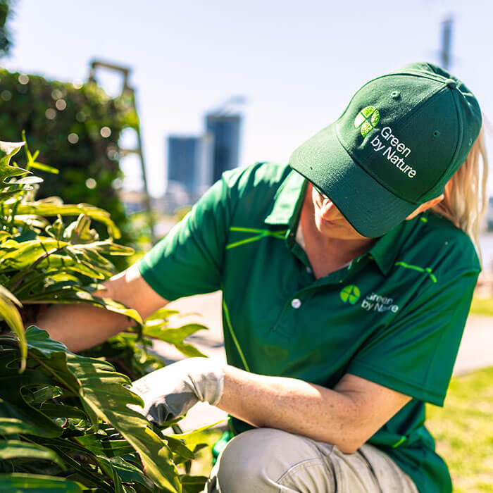 Green by Nature look after plants and the community