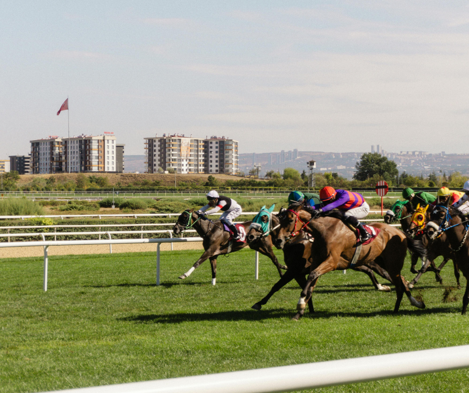 Horse racing turf