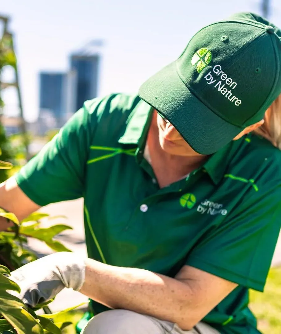 planting