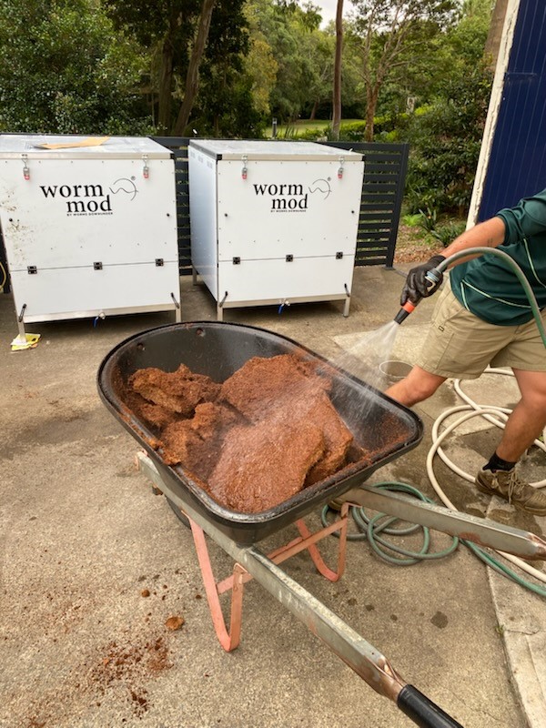 Worm farm at the shore school